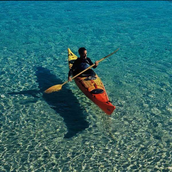 Laser 5.15 Expedition