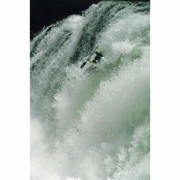 vector--img04 Vector